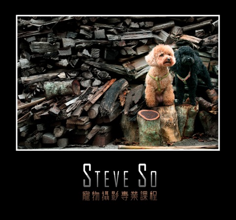 Steve So dvM~ҵ{